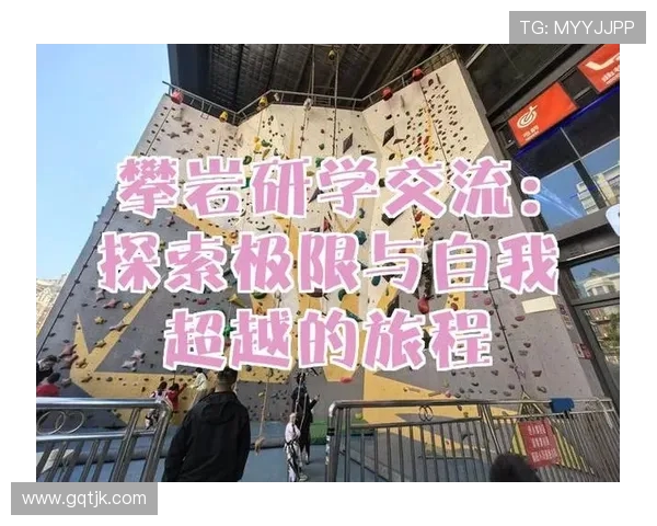 深入探讨上海攀岩队实力表现的数据分析与未来发展潜力