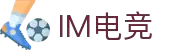 IM(股份有限公司)电竞-电子竞技平台